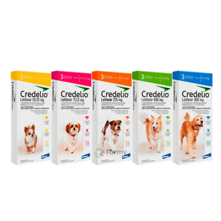 farmacia_5
